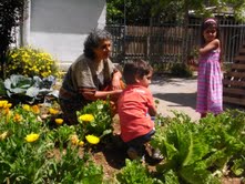 תמונות מחיי הגן