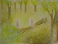 עץ כרות וגמדים - דניאל זהבי