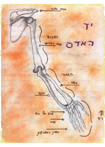 תיכון מחברות תקופה