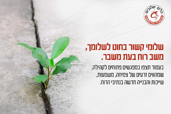 כלים שלובים